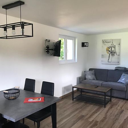 Maison 4 Etoiles Et Studio 3 Etoiles Independants Avec Piscine Л'Иль-сюр-ла-Сорг Экстерьер фото